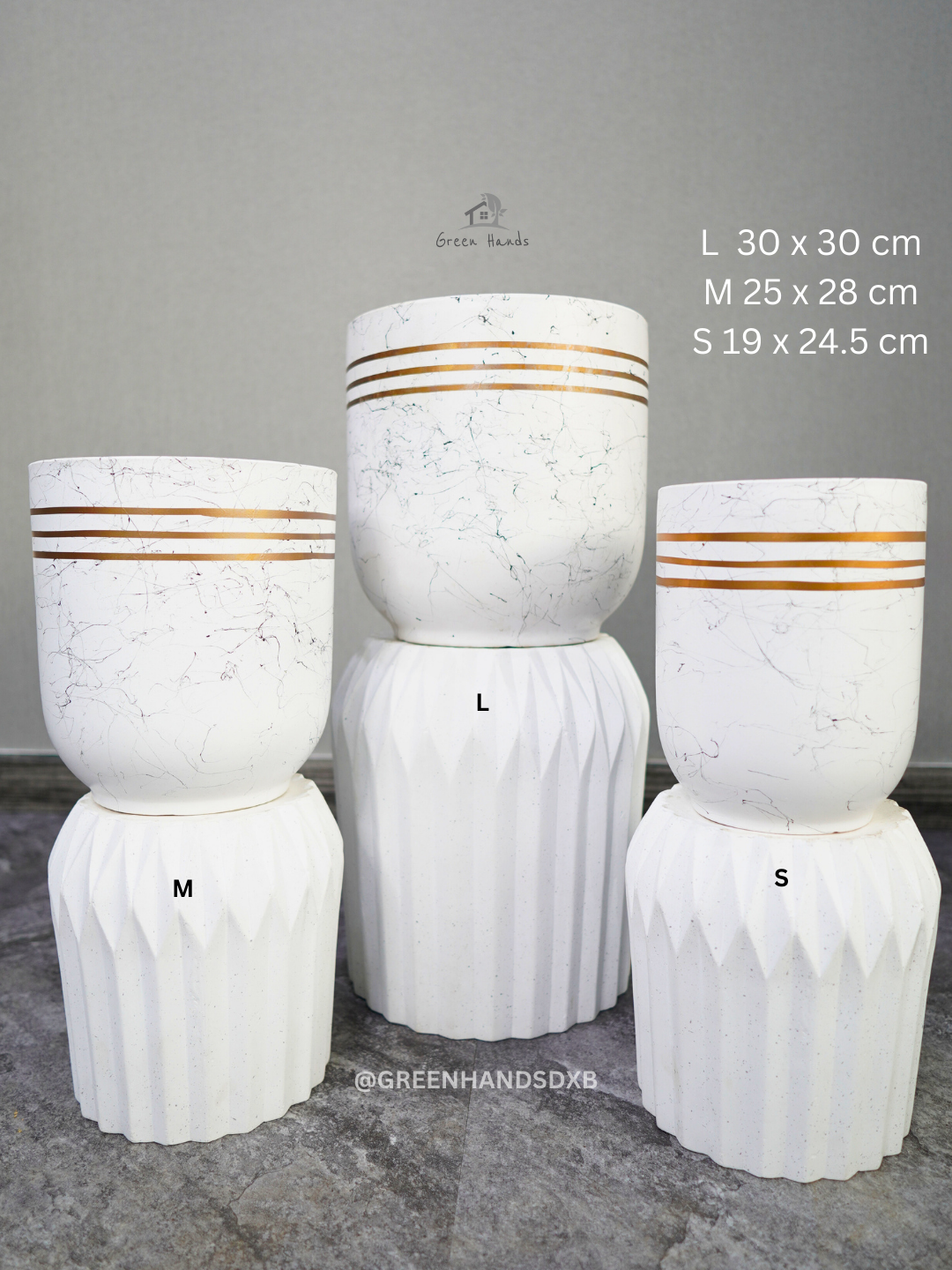 Potted Snake, Ficus Panda, Money Plant | Premium Indoor Plant Bundle: Complete with Matching Ceramic Pots