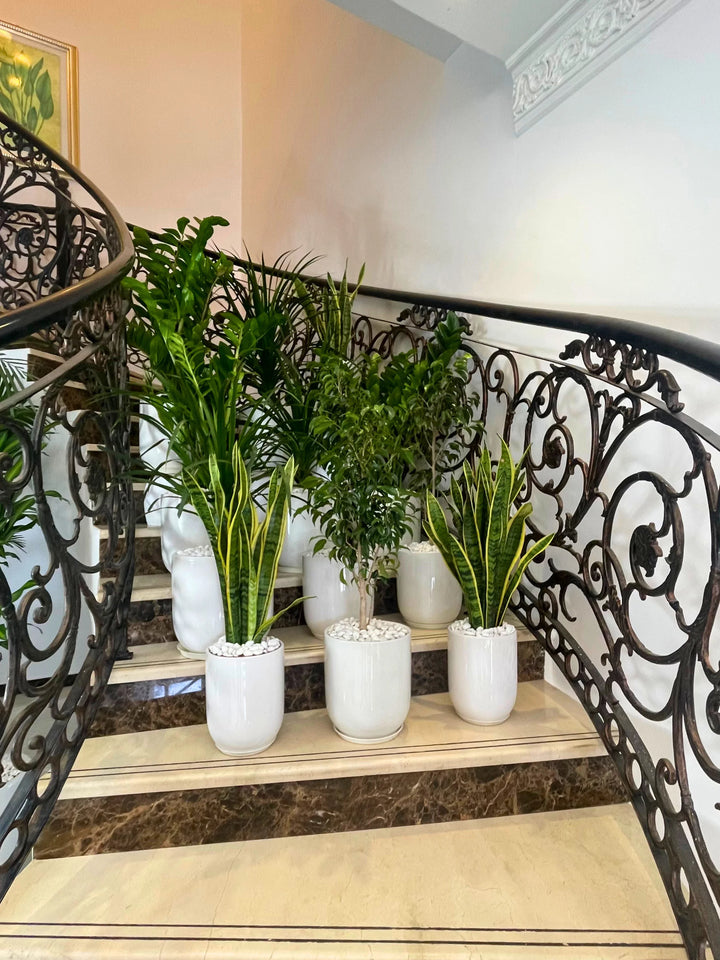 Decorative staircase with potted plants on a marble floor