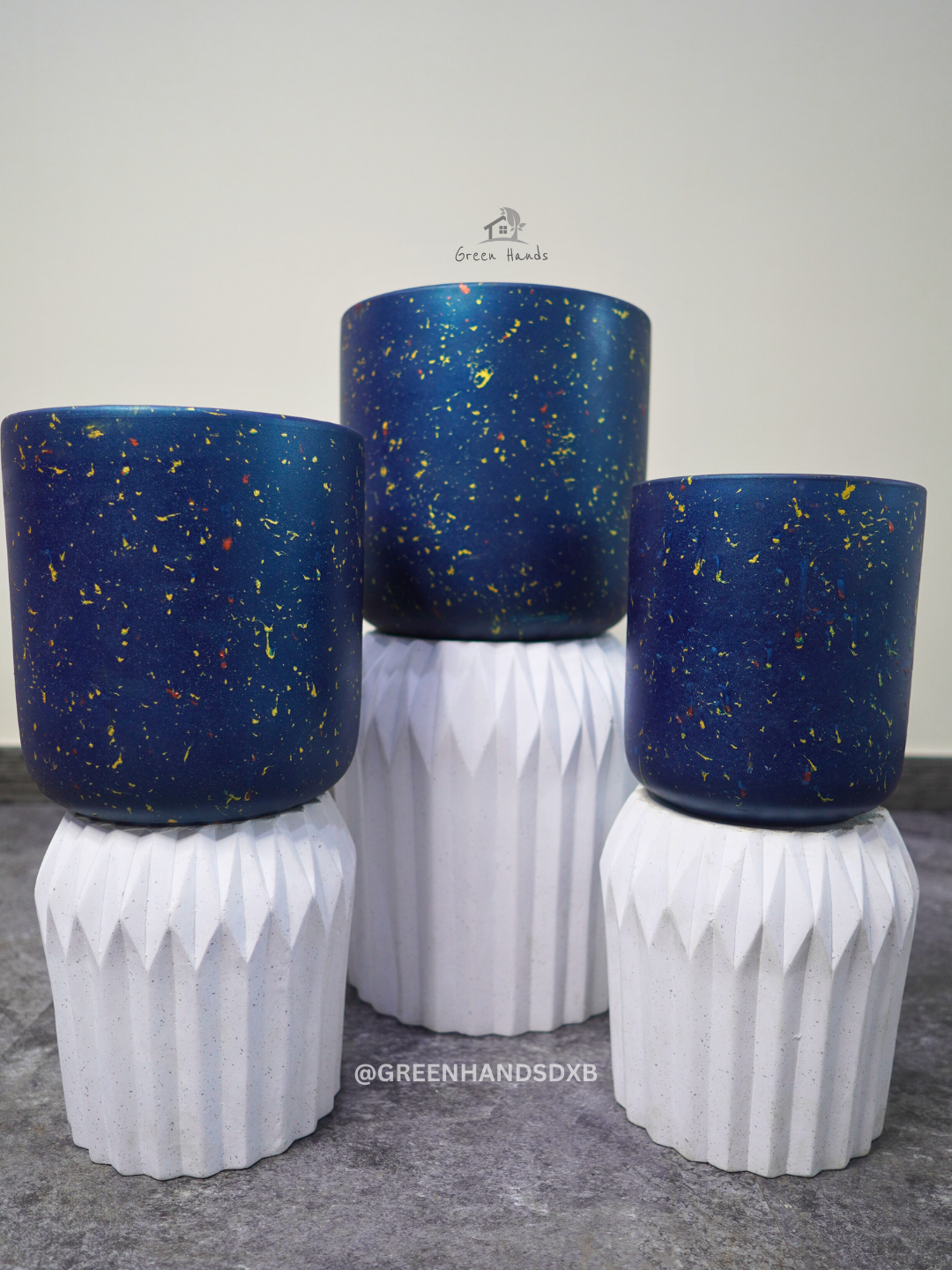Dracaena Fragrans in Ceramic Pot - Triple Crown: Enhance Your Indoor Space