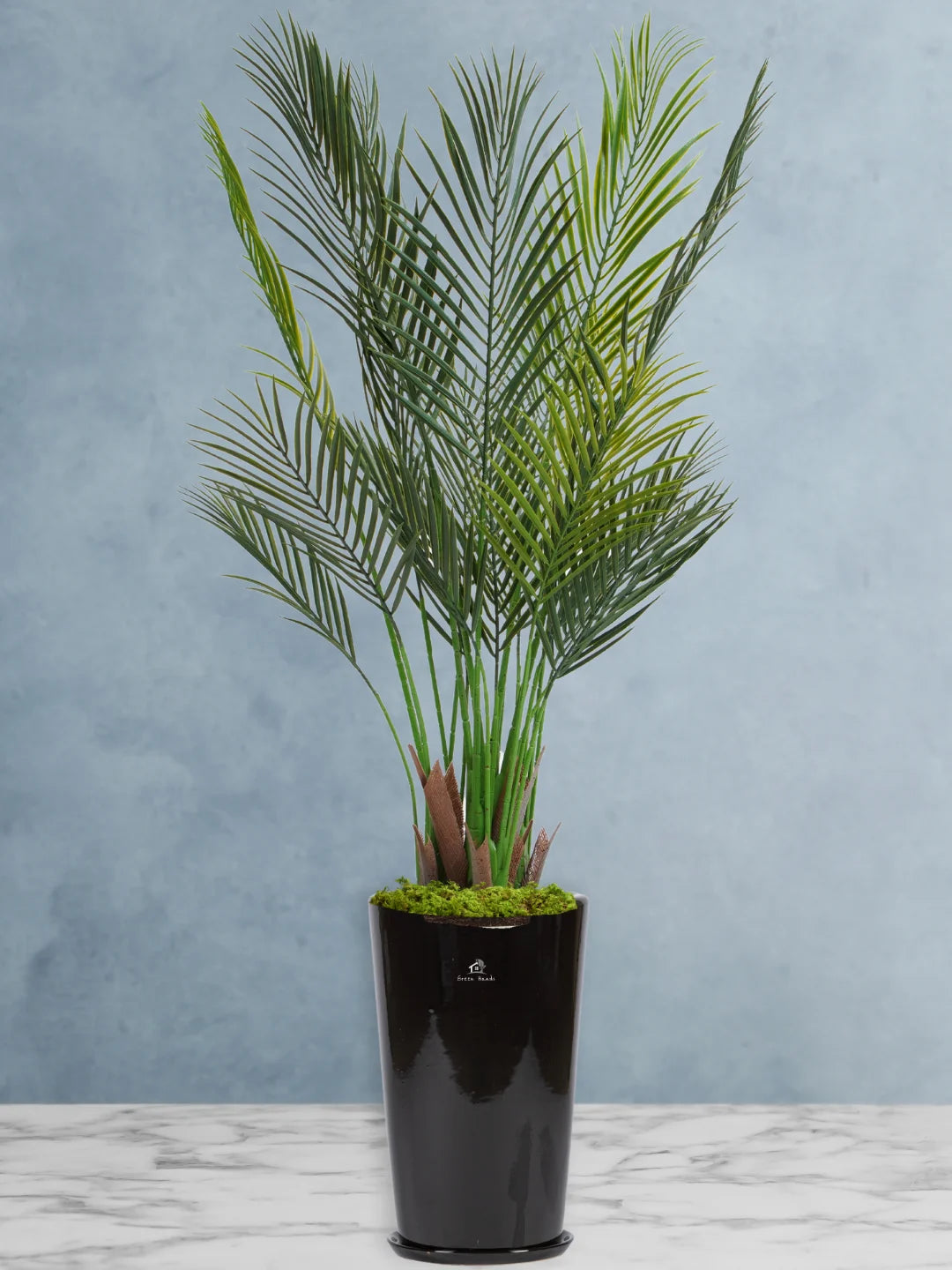 Artificial-Areca-Palm-Pot-Inclusive-140-150-cm-Premium-Glossy-Black-Ceramic