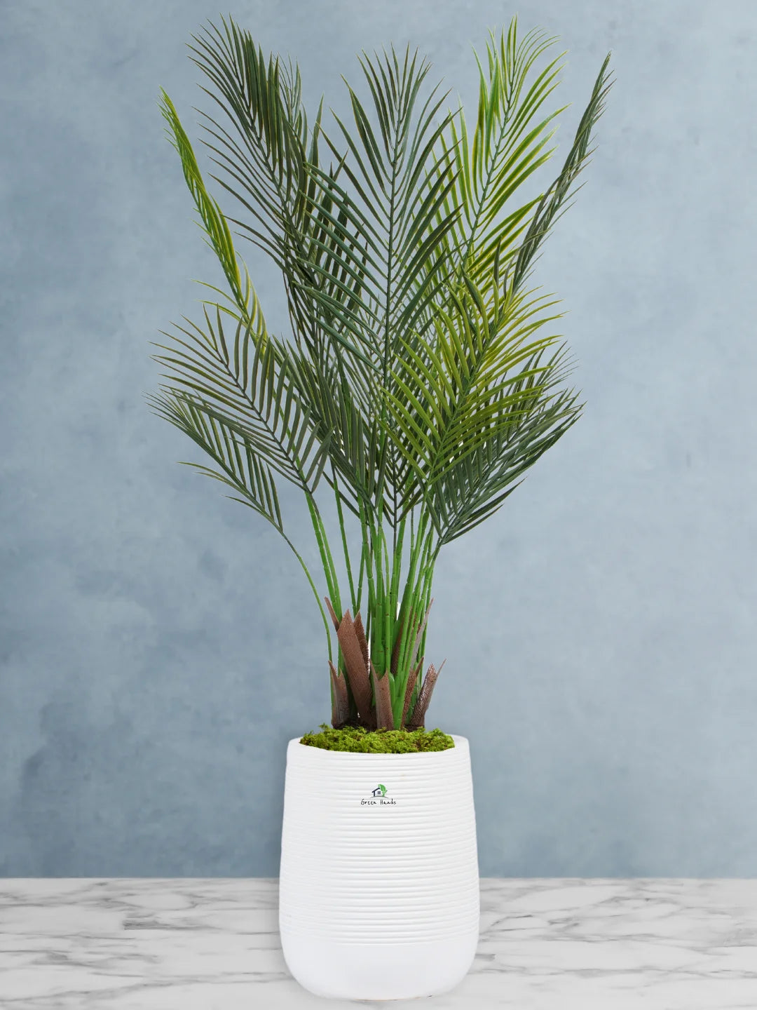 Top Quality Artificial Areca Palm Plant with Pot | 140-150cm | Ideal for Indoor Decor in UAE