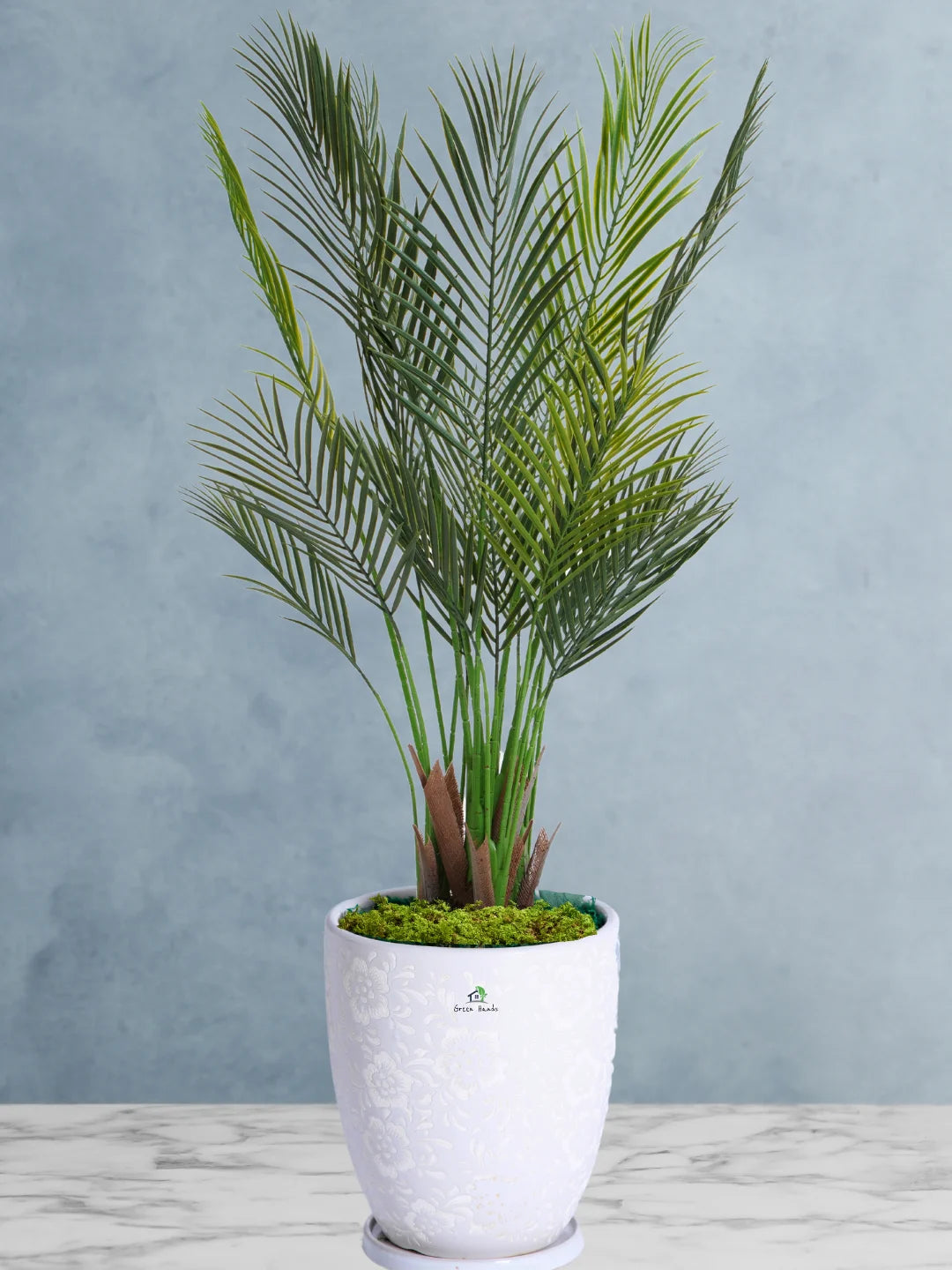 Artificial-Areca-Palm-Pot-Inclusive-140-150-cm-Premium-Glossy-White-Ceramic