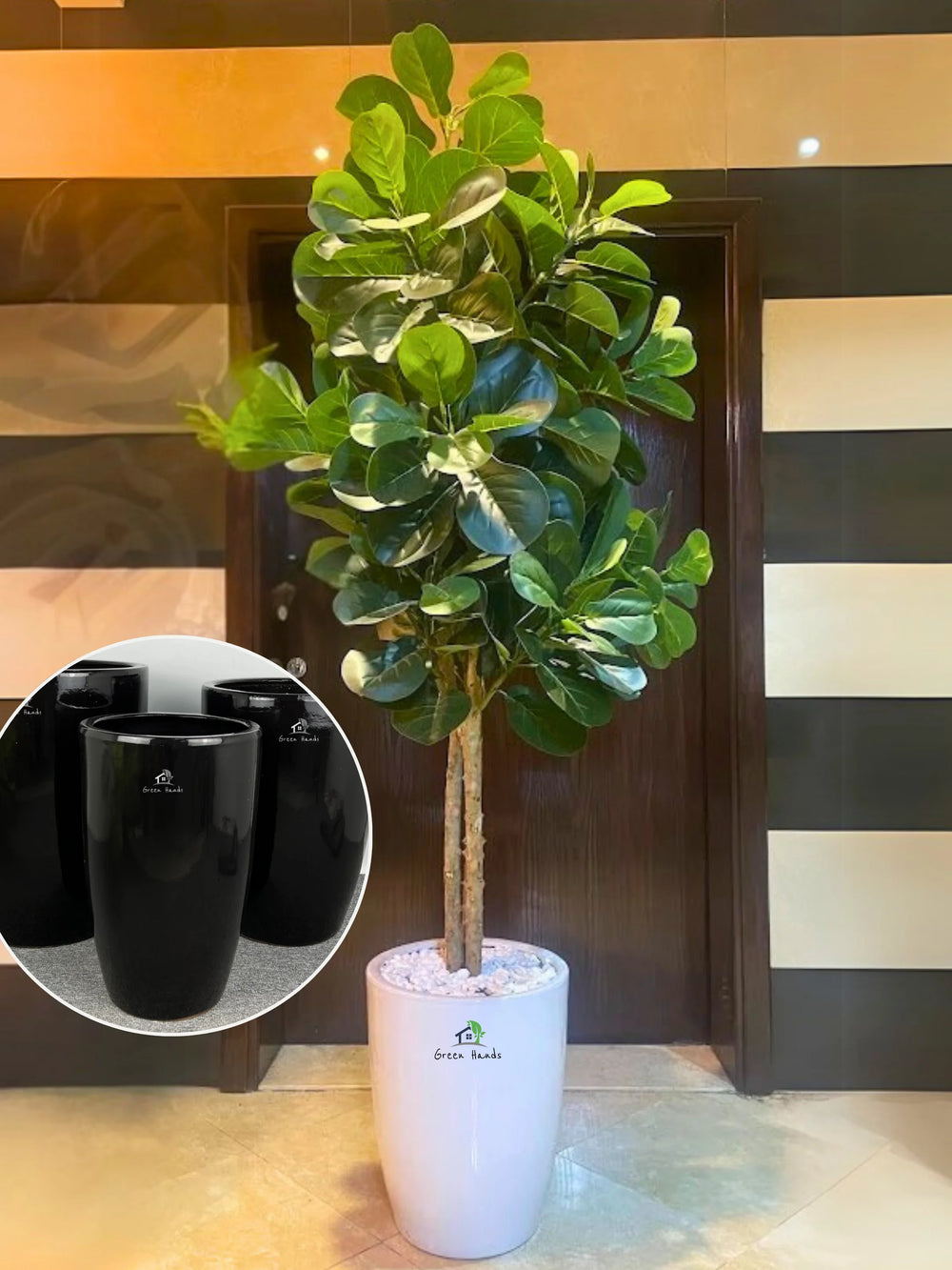 fiddle leaf fig in ceramic pot Artificial Fiddle Leaf Fig Tree 220cm