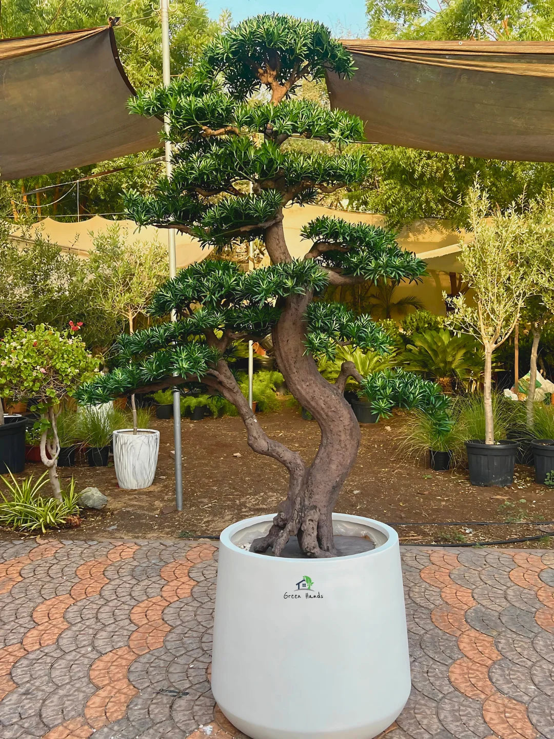 Premium Artificial Potted Plants Collection | Pot Inclusive