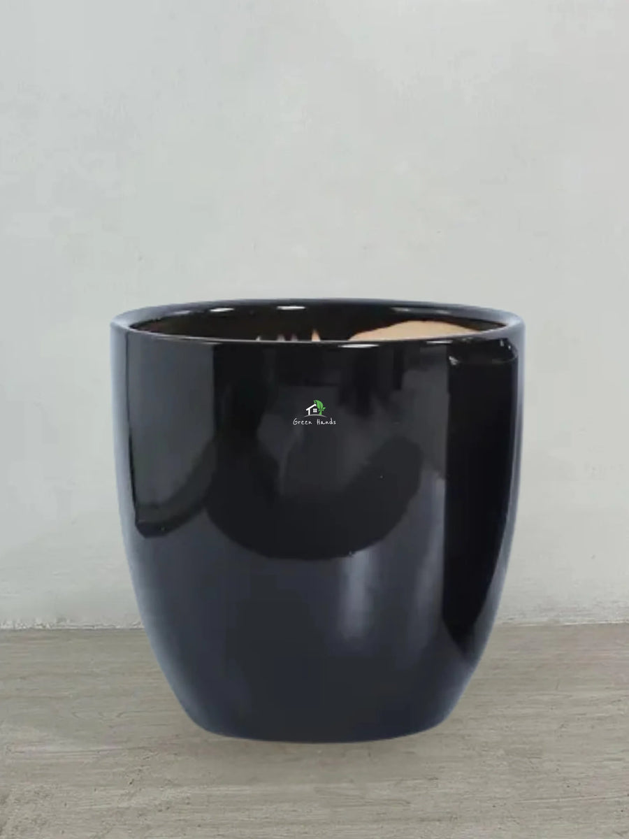 black gloss plant pots Black Glossy Ceramic Pots