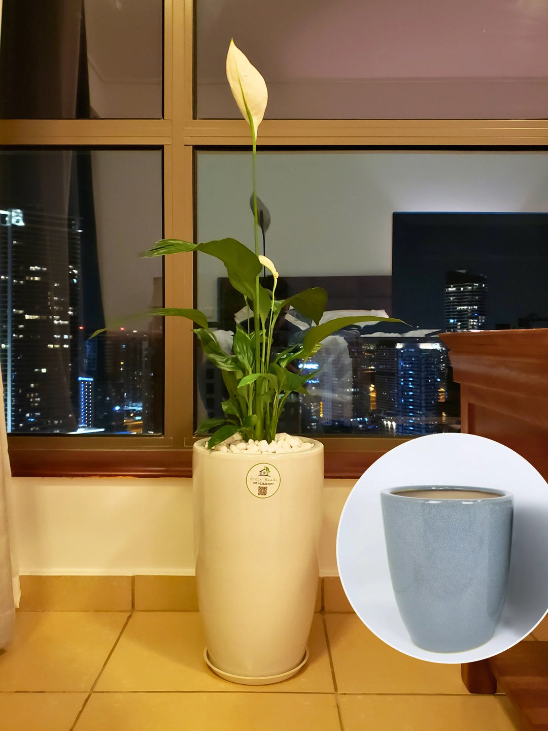 peace lily in ceramic pot Large Potted Peace Lily | 80–100cm