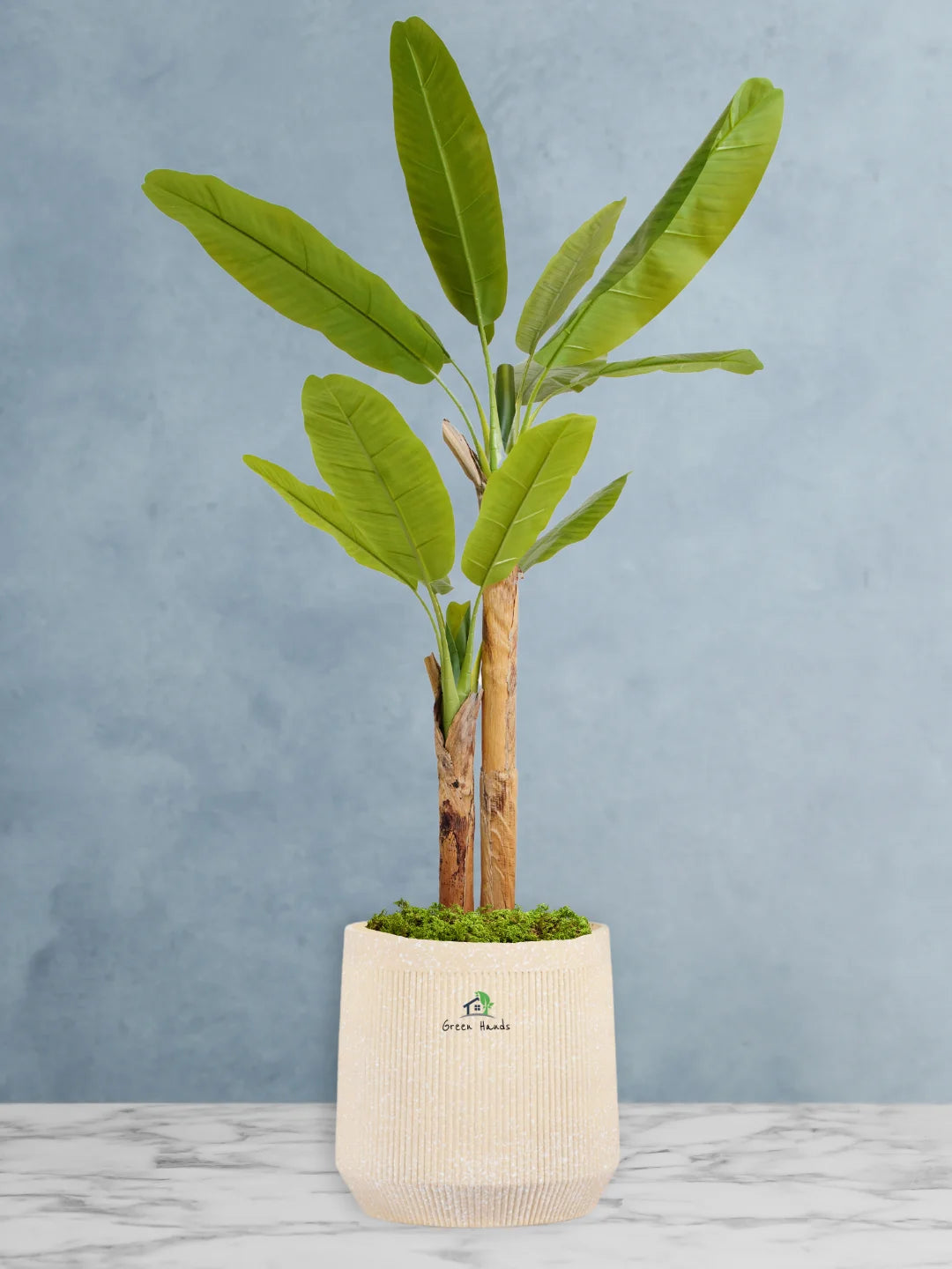 Potted-Artificial-XL-Banana-Tree-in-Premium-Arabian-Sand-Fiber-Pot
