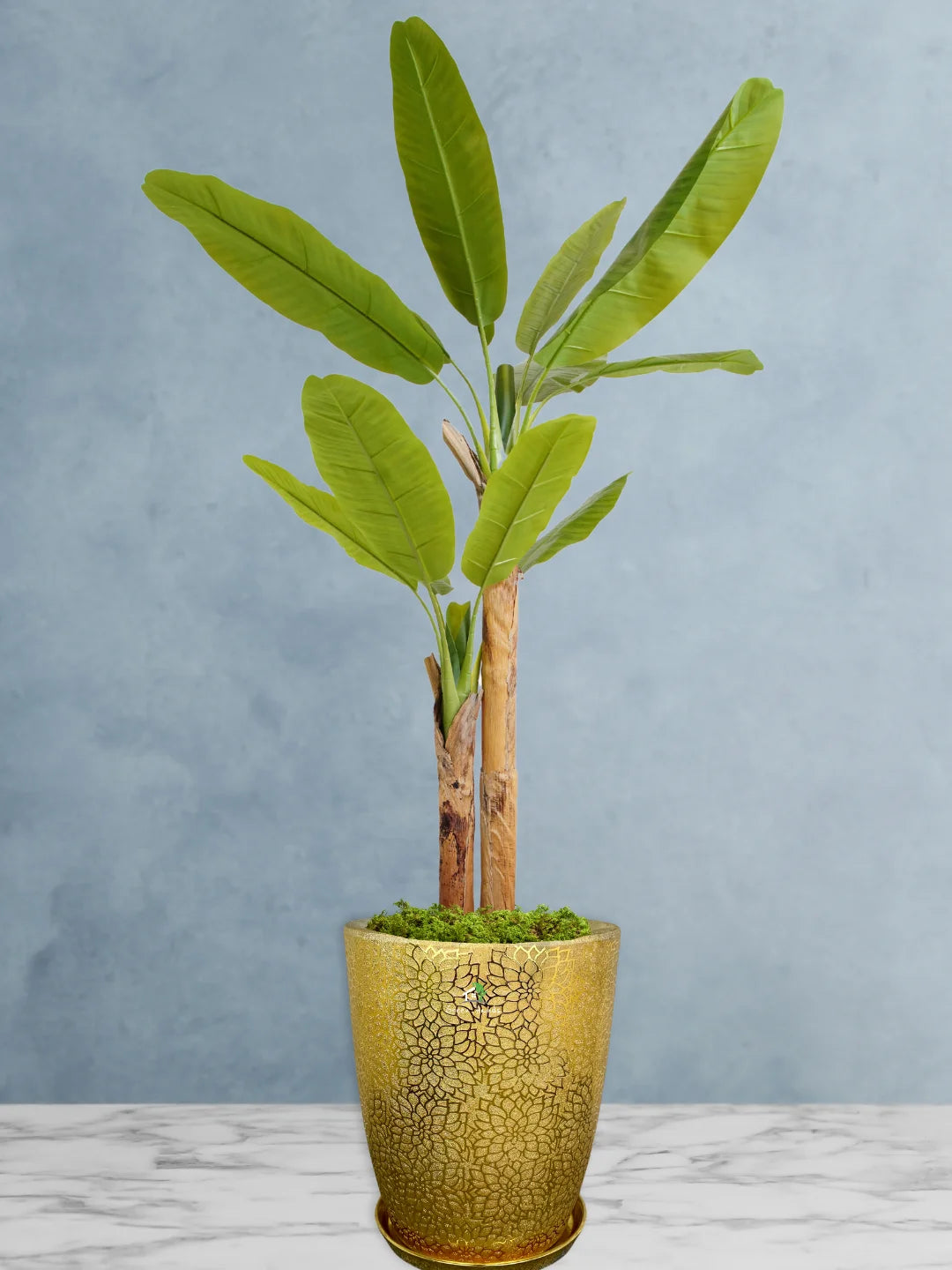 Premium Indoor Artificial Banana Tree | XL Size 190-200cm | Perfect for Dubai, Abu Dhabi, UAE Homes & Offices