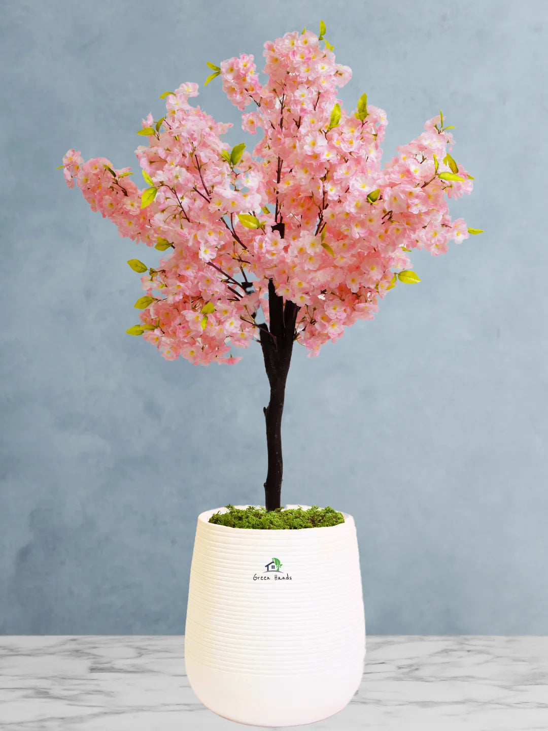 Exquisite Indoor Artificial Cherry Blossom Tree | XL Size 160-170cm | Perfect for Dubai, Abu Dhabi, UAE Homes & Offices