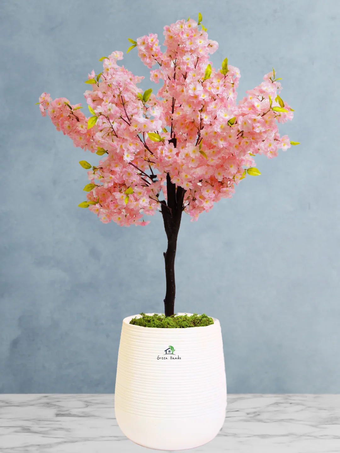 Premium Artificial Cherry Blossom XL 160170cm Includes Pot & Moss