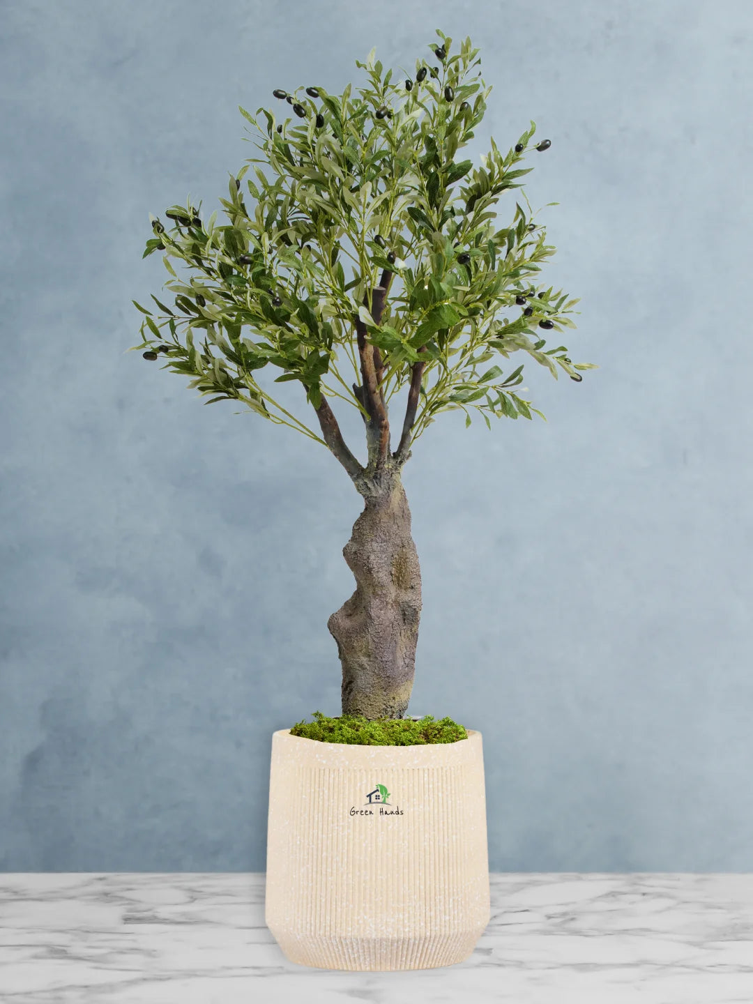 Potted-Artificial-XL-Mature-Olive-Tree-in-Premium-Arabian-Sand-Fiber-Pot