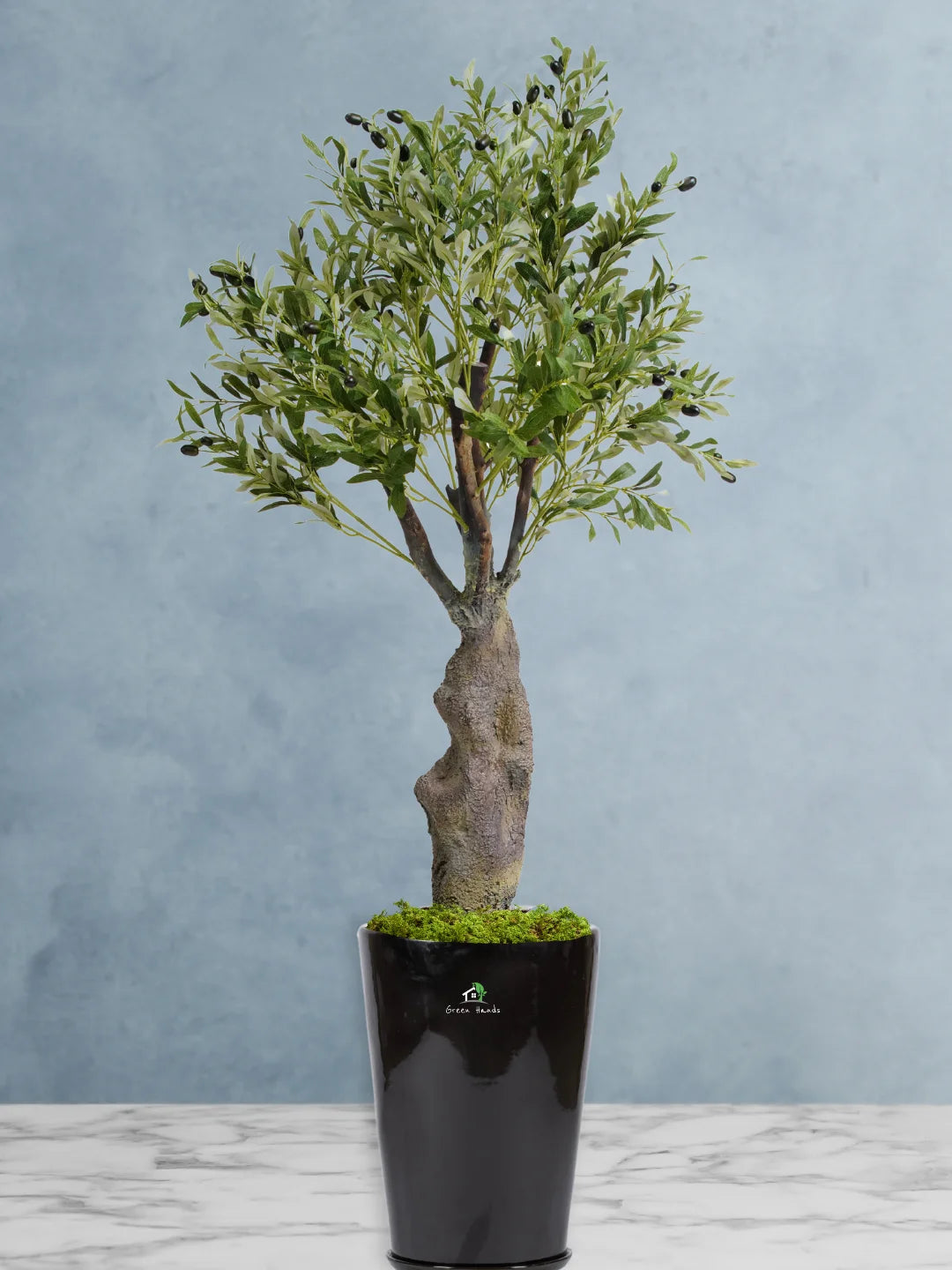 Potted-Artificial-XL-Mature-Olive-Tree-in-Premium-Glossy-Black-Ceramic-Pot
