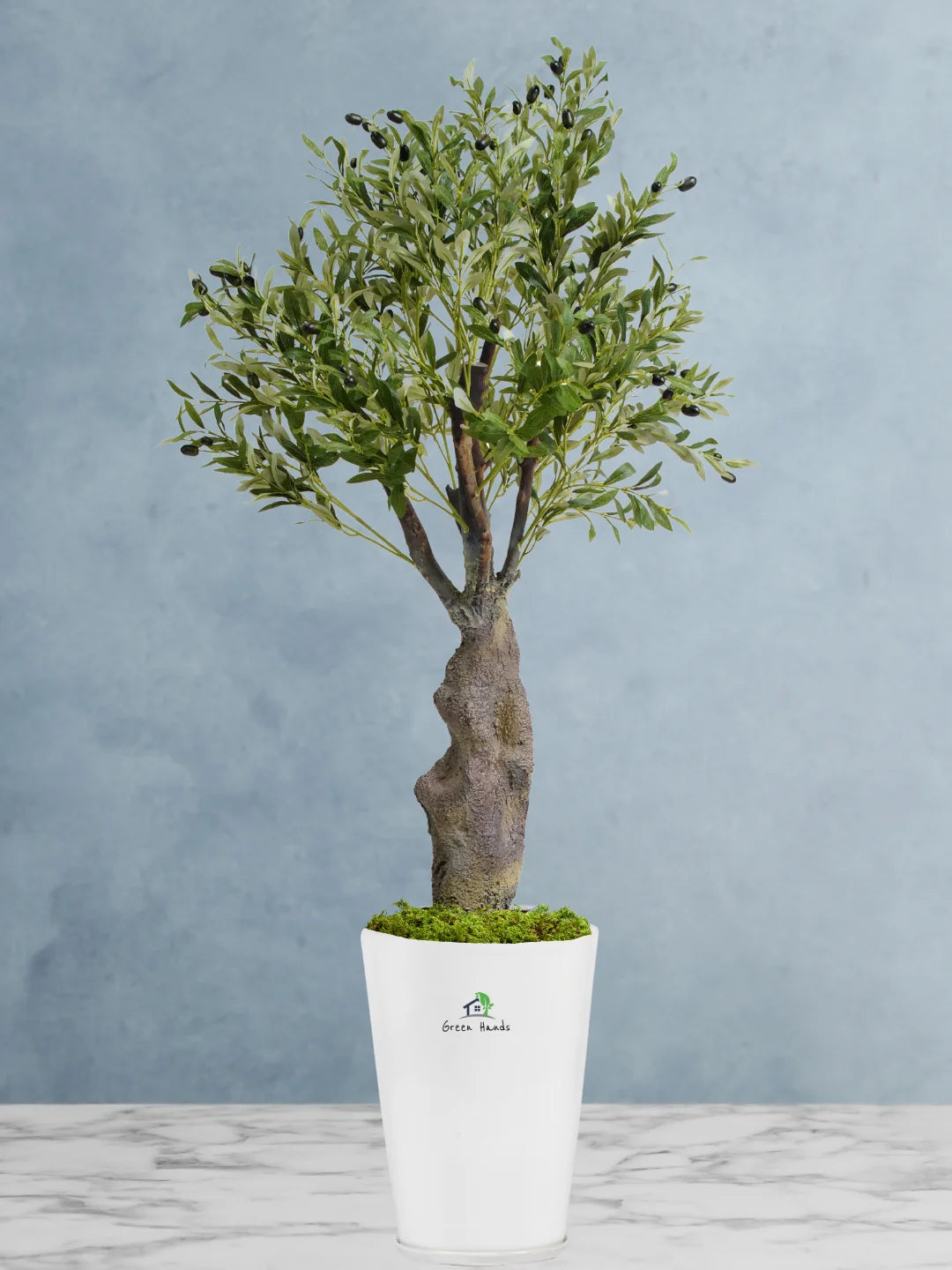 Artificial Mature Olive Tree | 160-170cm | With Pot