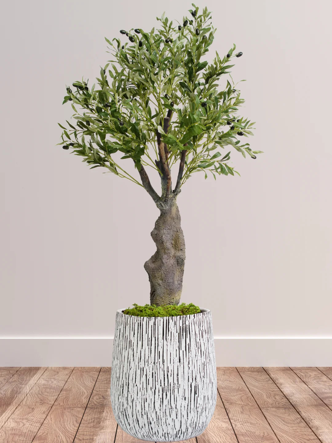 Potted-Artificial-XL-Mature-Olive-Tree-in-Premium-White-Ash-Fiber-Pot