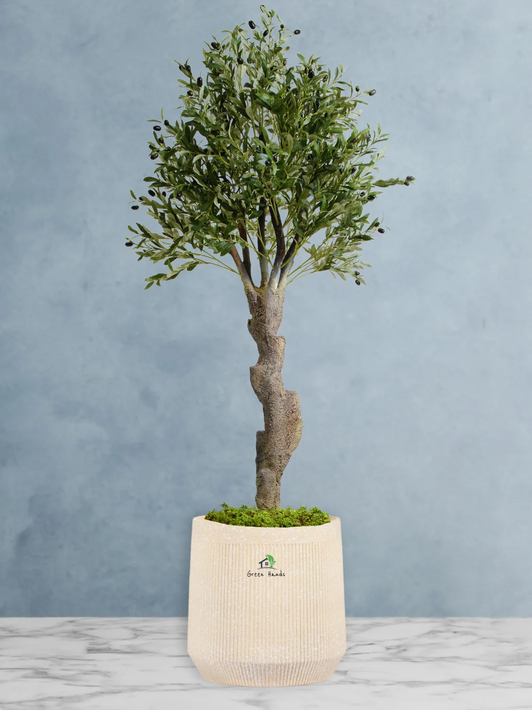 Artificial Mature Olive Tree | 200-210cm | With Pot