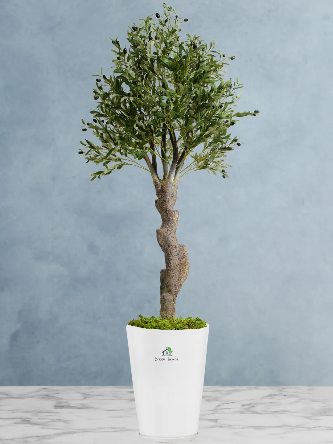 Artificial Mature Olive Tree | 200-210cm | With Pot