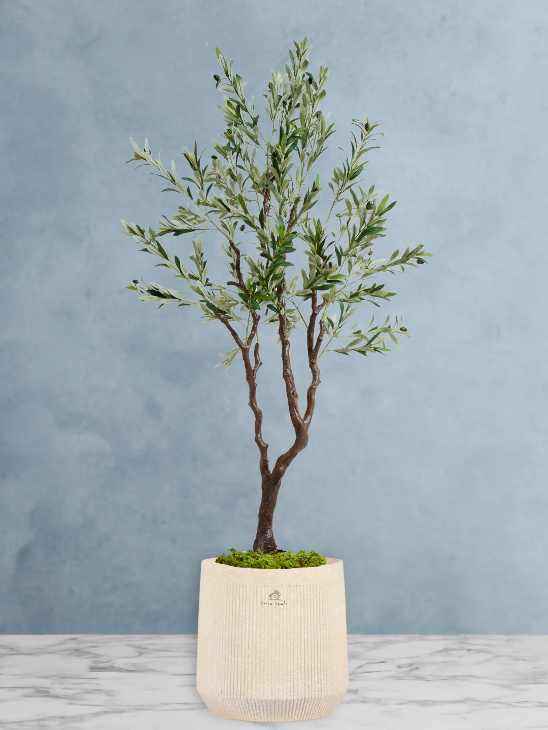 Potted-Artificial-XXL-Olive-Tree-in-Premium-Arabian-Sand-Fiber-Pot