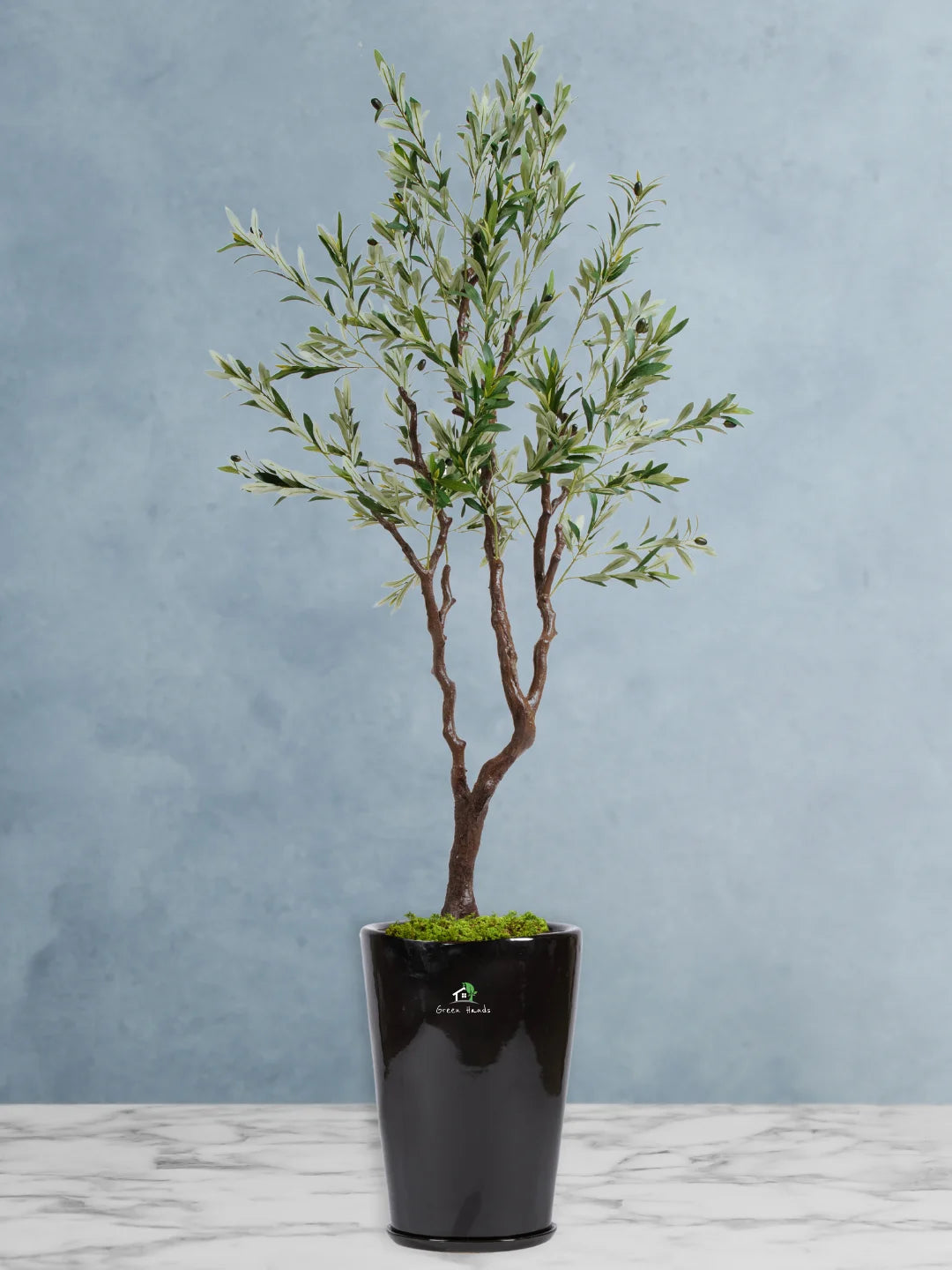 Potted-Artificial-XXL-Olive-Tree-in-Premium-Glossy-White-Ceramic-Pot_2