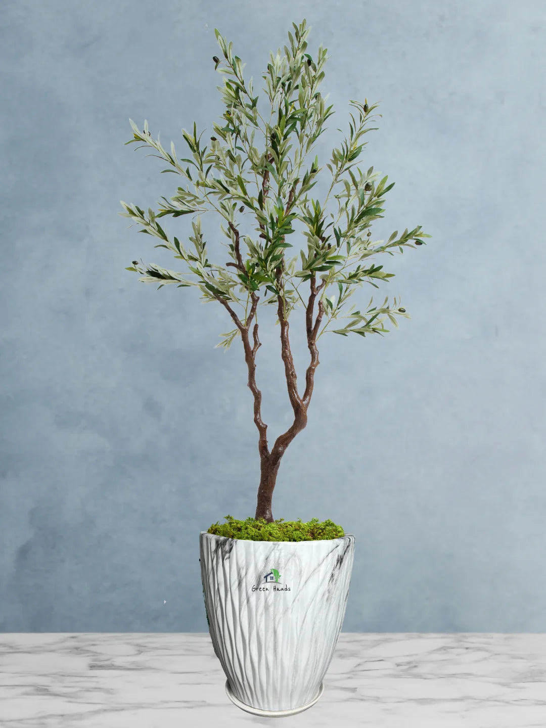 Potted-Artificial-XXL-Olive-Tree-in-Premium-Marble-Grey-Ceramic-Pot