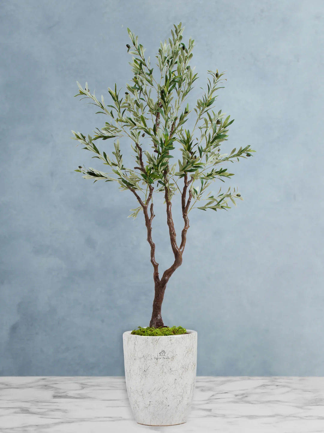 Artificial Olive Tree | 210-220cm | With Pot