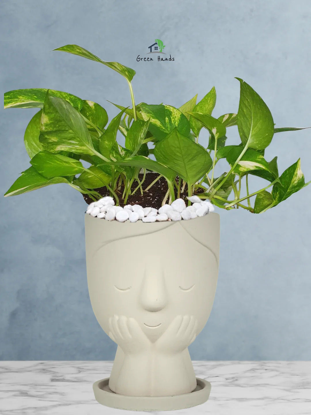 Potted-Money-Plant-in-Adorable-Terracotta-Cute-Girl-Face-Planter-Beige-1