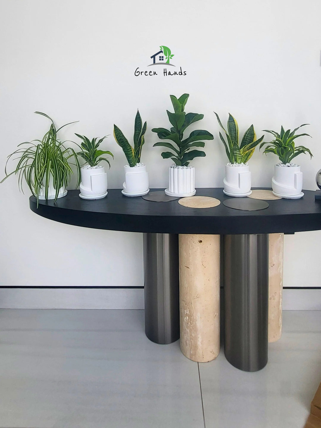 Six-Premium-Potted-Desktop-Plants-in-Premium-Pots-Mix-Whites