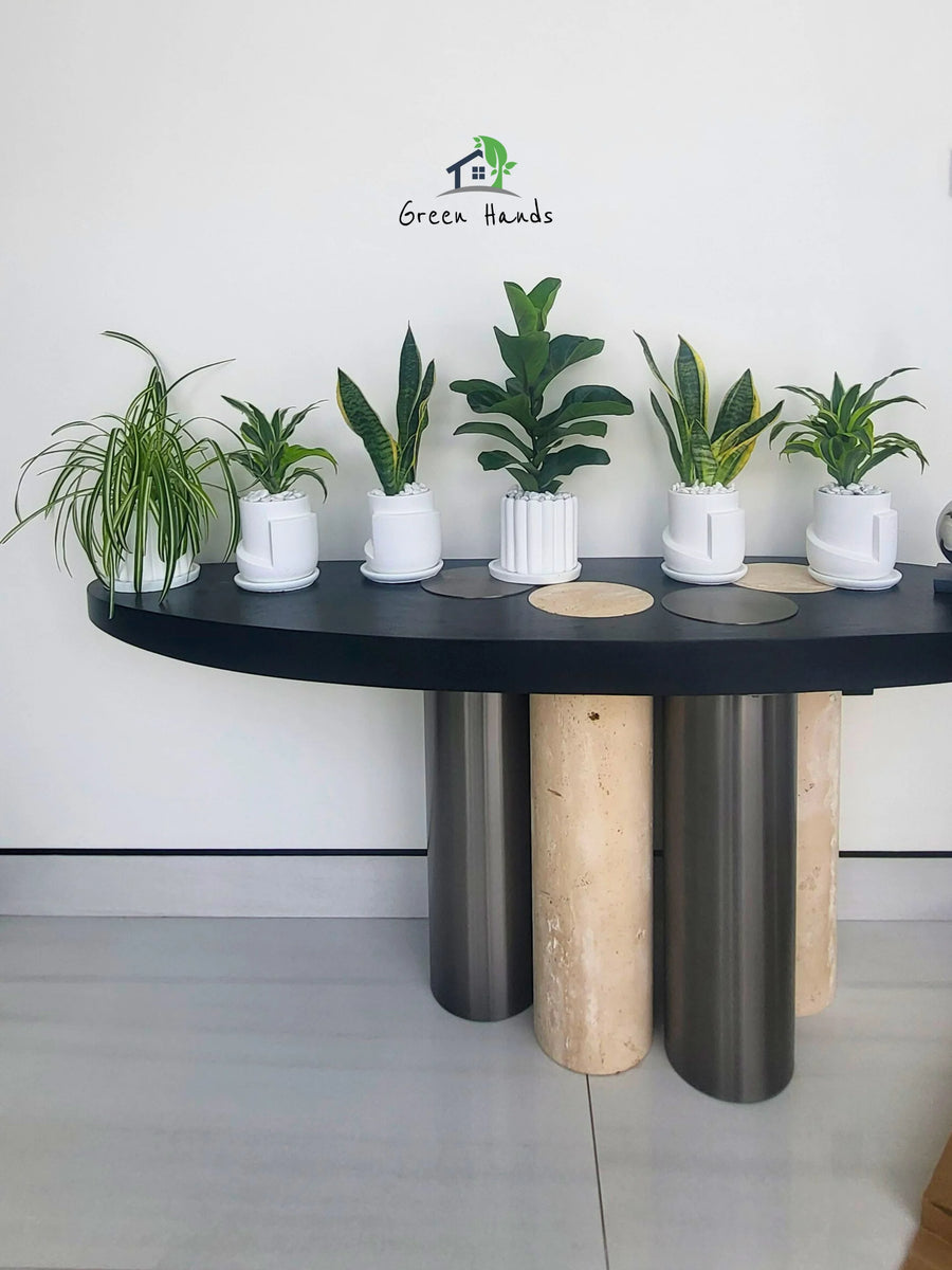 Six-Premium-Potted-Desktop-Plants-in-Premium-Pots-Mix-Whites