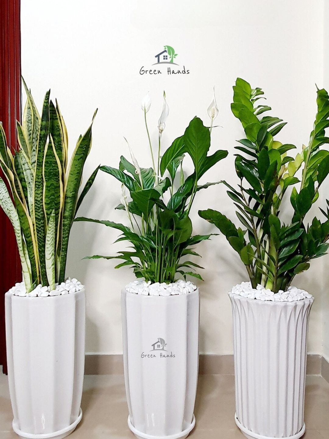 Low-Light, Low-Maintenance Potted Plant Bundle: ZZ Plant, Snake Plant & Peace Lily Planted in Glossy White Pot