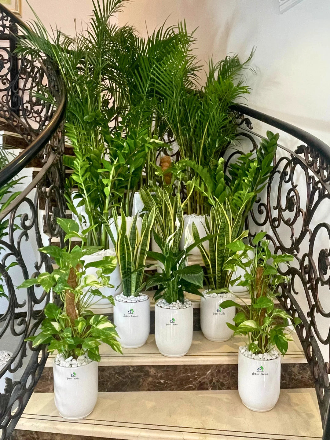 best value plant pots Best Value Corporate Plant Bundle