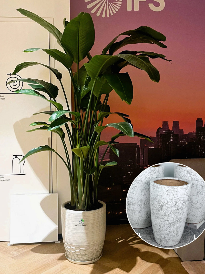 files/XL-Bird-of-Paradise-in-Marble-Ceramic-Pot.webp