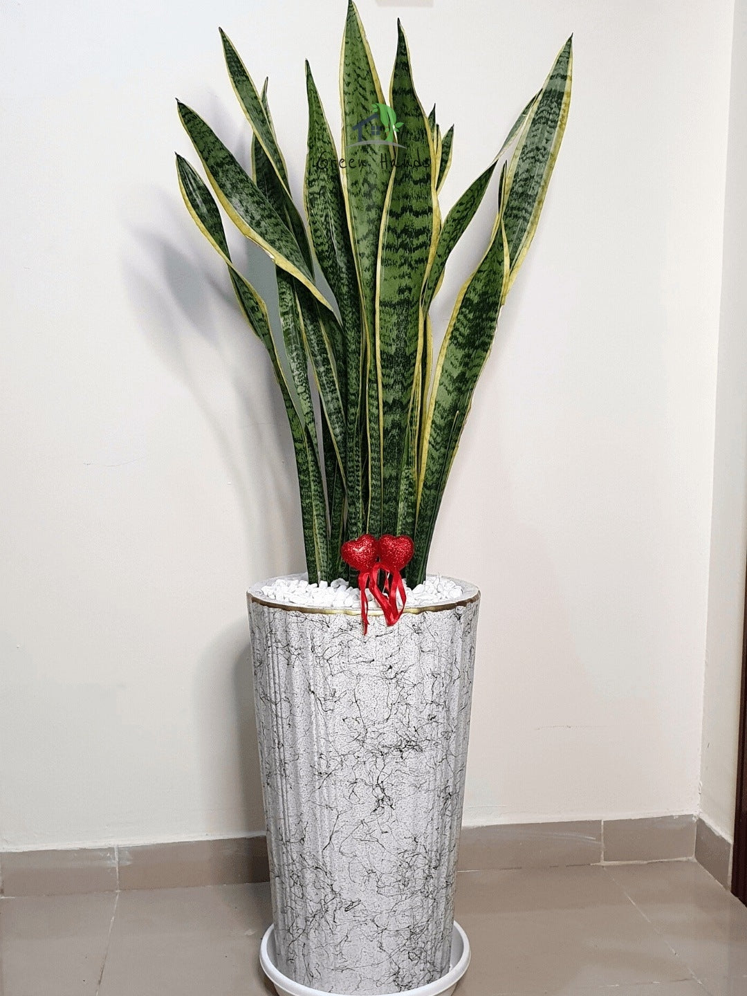 Snake Plant: The Ultimate Low-Maintenance, Air-Purifying Indoor Plant Planted in Earthy Wood Pot