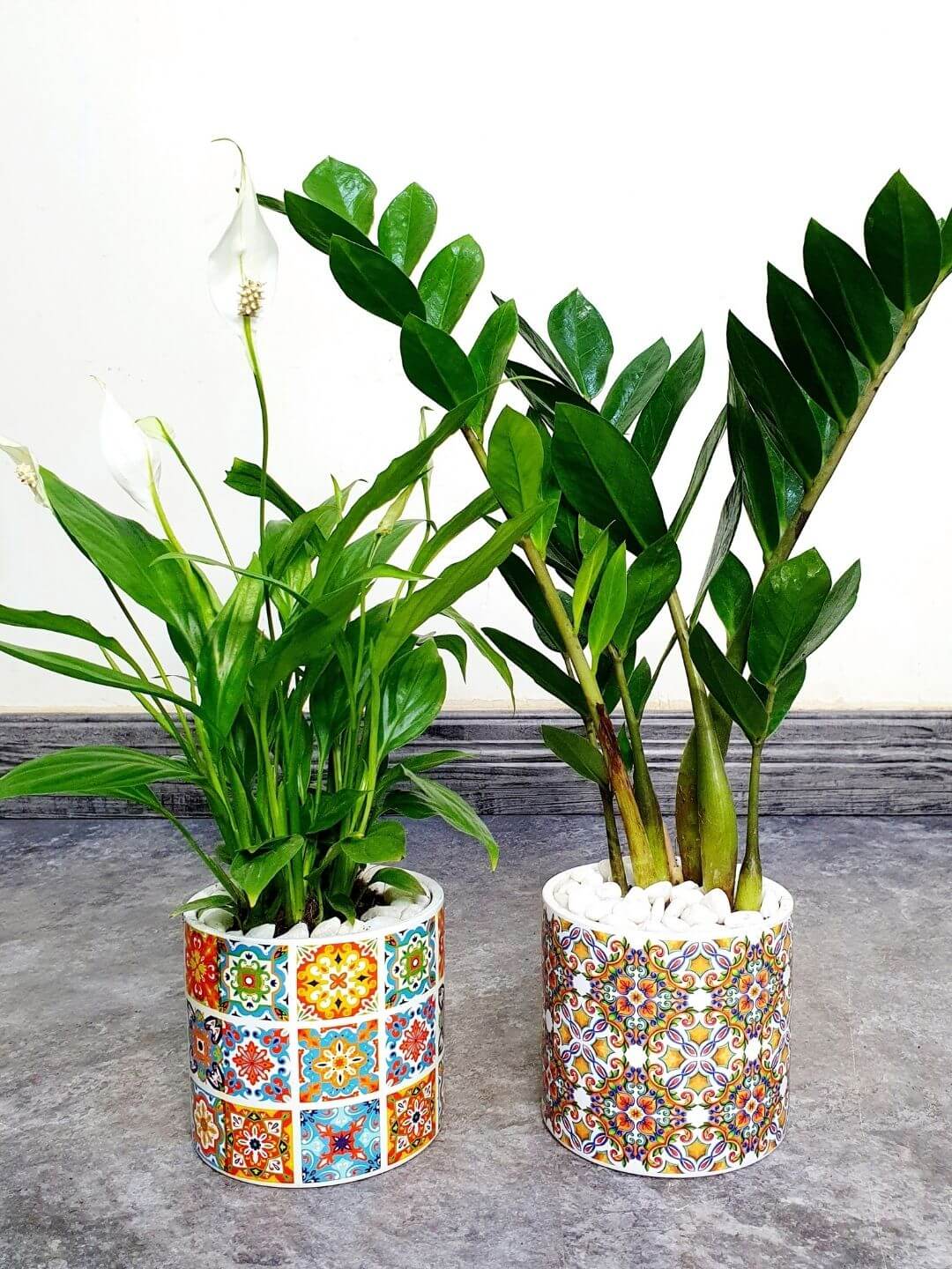 Desktop Peace Lily & ZZ Bundle Planted in Designer Turkish Ceramic Pot