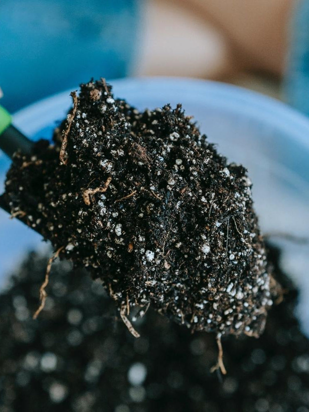 Plant Repotting | Premium Organic Soil