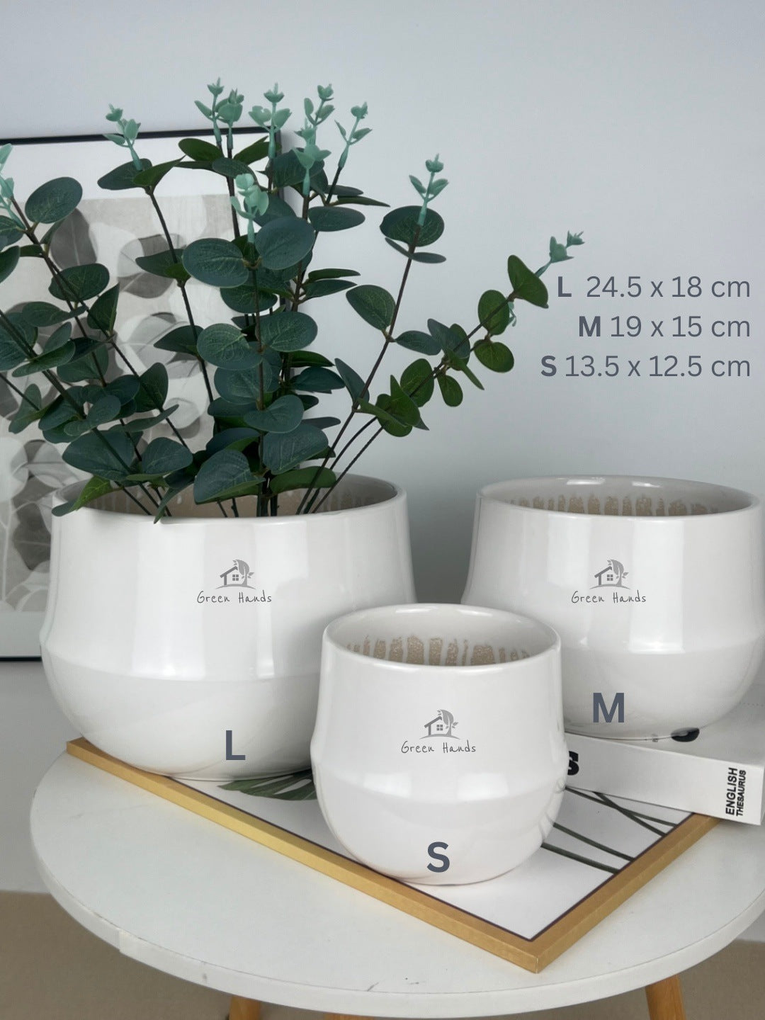 Luxury White Glossy Ceramic Pots in UAE: Modern, Chic Décor for Desktop Plants | Available in Dubai & Abu Dhabi