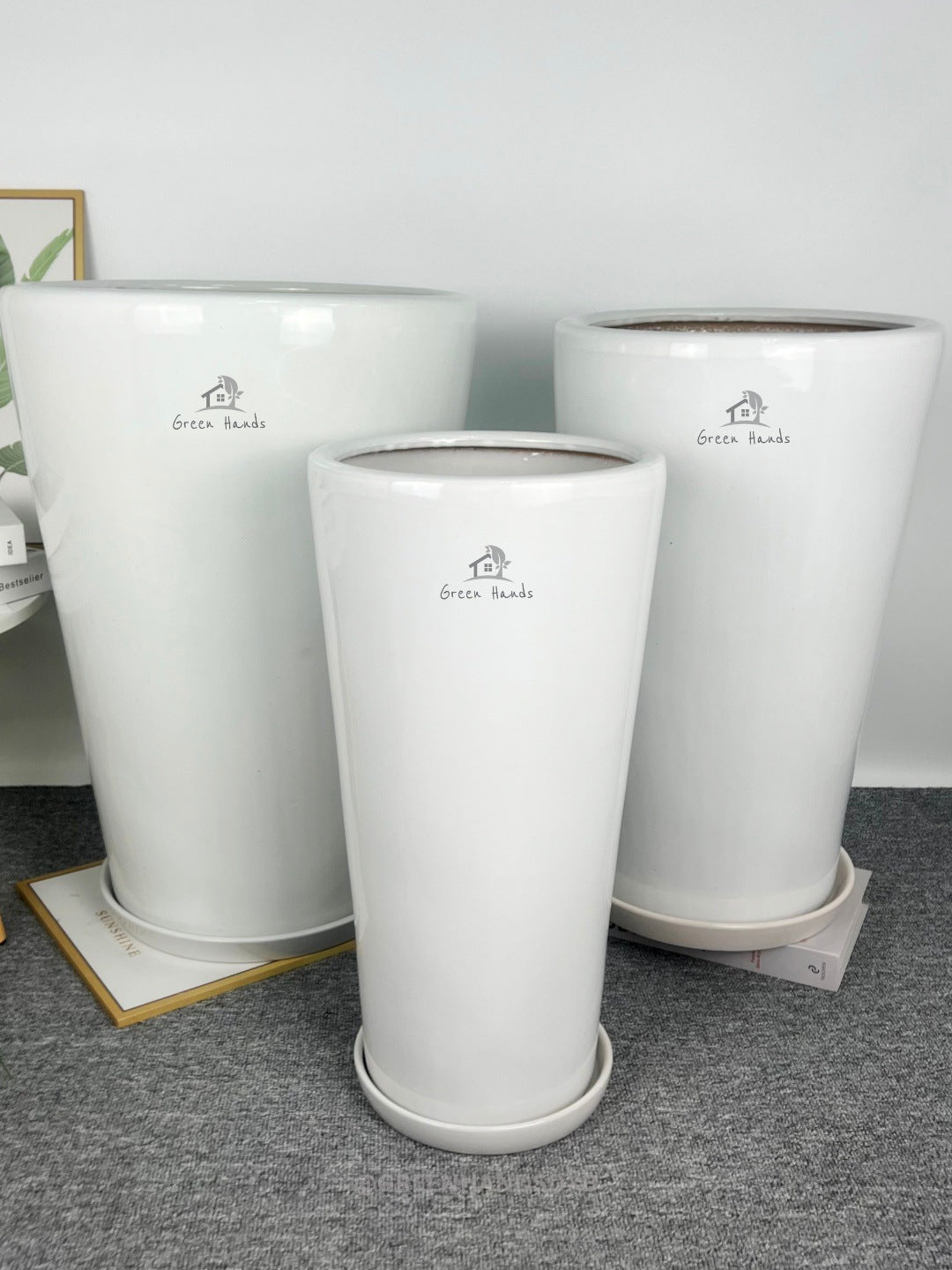 Premium Tall White Ceramic Pots with Matching Base Plates in Dubai & Abu Dhabi: Perfect for Showcasing Statement Plants in Offices & Luxury Homes with set of 3 display